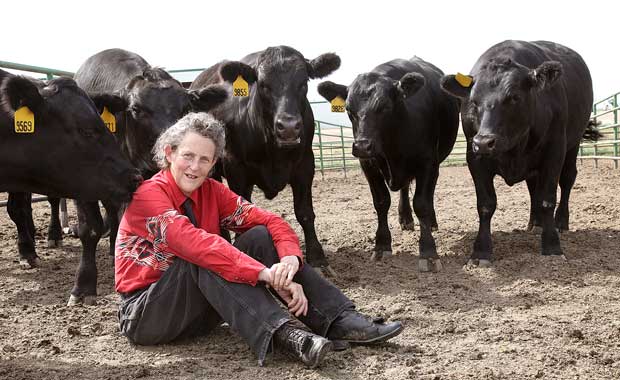 Temple Grandin The World Needs All Kinds of Minds